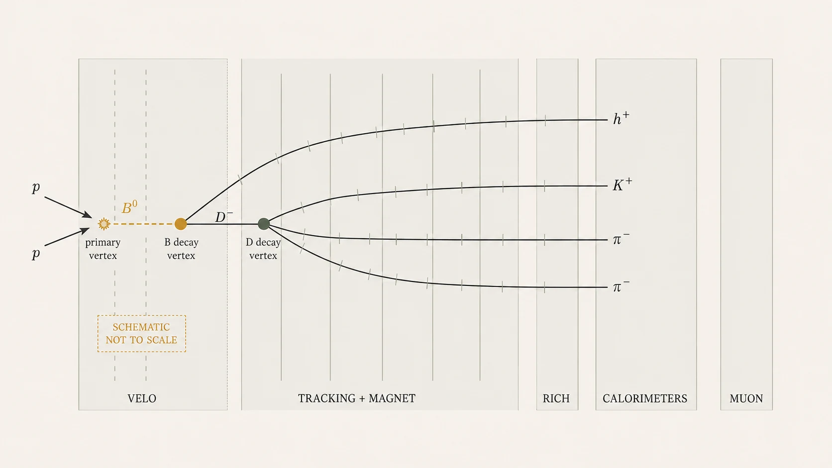 Schematic journey from a proton collision through displaced B0 and D-minus decay vertices to charged tracks in the LHCb detector systems